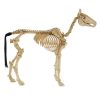 Halloween Yard Decor Home Accents Holiday 4 Ft. LED Skeleton Pony