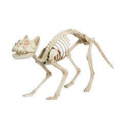 Home Accents Holiday 14 In. Animated Skeleton Cat With Light And Sound Halloween Props