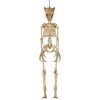 Home Accents Holiday 3 Ft. LED Hanging Wolf Skeleton Halloween Props 2 Home Accents Holiday 3 Ft. LED Hanging Wolf Skeleton Halloween Props