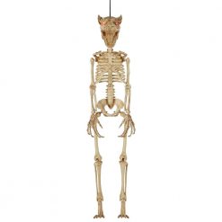 Home Accents Holiday 3 Ft. LED Hanging Wolf Skeleton Halloween Props
