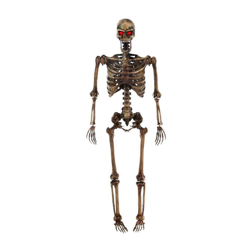 Home Accents Holiday 5 Ft. LED Pose-N-Stay Decayed Skeleton 3 Home Accents Holiday 5 Ft. LED Pose-N-Stay Decayed Skeleton