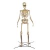 Home Accents Holiday 12 Ft. Giant-Sized Skeleton With LifeEyes Halloween Yard Decor 2 Home Accents Holiday 12 Ft. Giant-Sized Skeleton With LifeEyes Halloween Yard Decor
