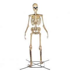 Home Accents Holiday 12 Ft. Giant-Sized Skeleton With LifeEyes Halloween Yard Decor