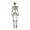 Worth Imports 60 In. Halloween Life Size Hanging Skeleton 2 Worth Imports 60 In. Halloween Life Size Hanging Skeleton