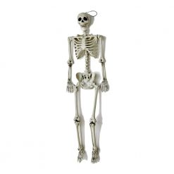 Worth Imports 60 In. Halloween Life Size Hanging Skeleton